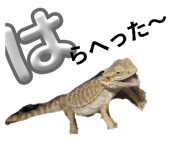 810184081