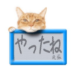 810193362