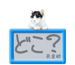 810193652