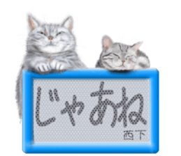 810194076