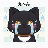 810207025