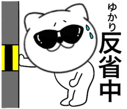 81020755