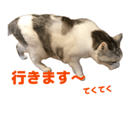810219011