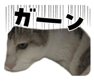 810219013