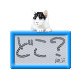 810271764