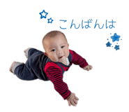 810275227