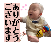 810275231