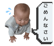 810275232