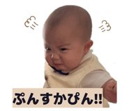 810275258