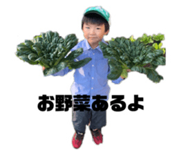 810278703