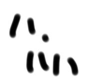 810283904