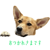 810293691