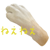 810293696