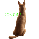 810293698