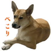 810293699