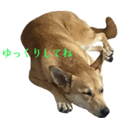 810293700