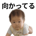 810294691