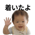 810294692