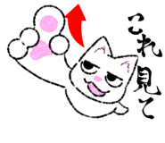 810304698