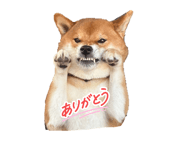 810315057
