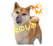 810324968