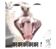 810328237