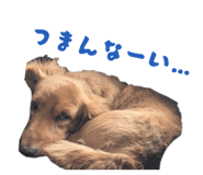 810330777