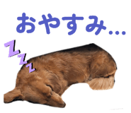810330781