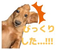 810330782