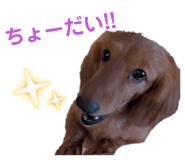 810330784