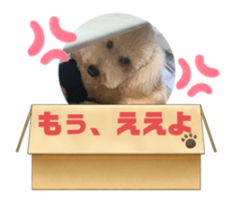 810331656