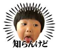 810332108