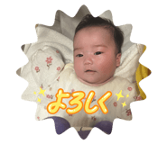 810333263