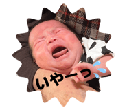 810333271