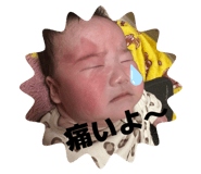 810333275