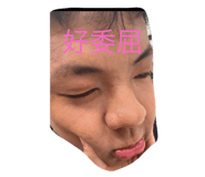 810339293