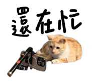 810342331