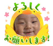 810353084