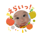 810353626