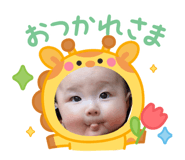810353633