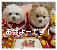 810393757