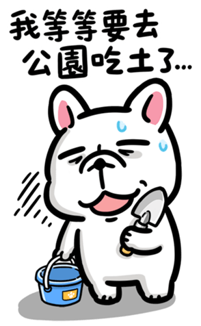 810400797