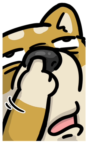 810400808