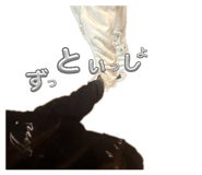 810462082