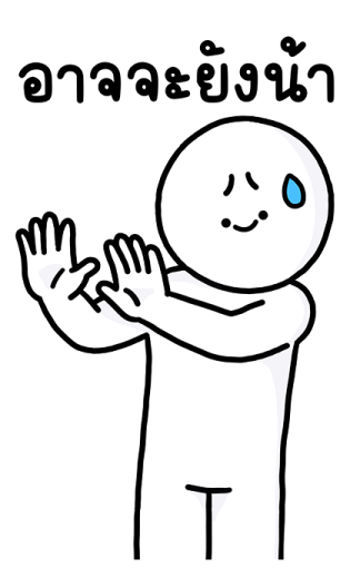 ลายที่ 3