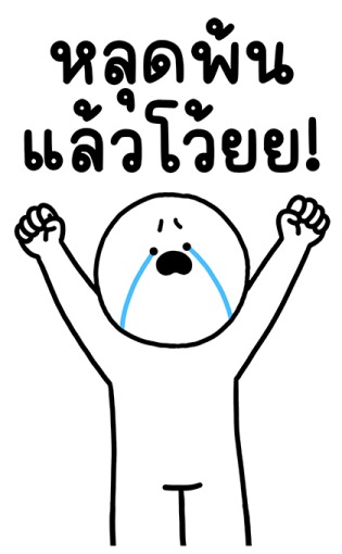 ลายที่ 29