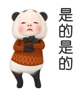 Panda Towel Daily 6 รูปที่ 17