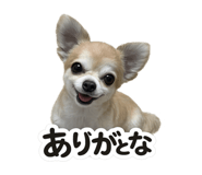 810506484