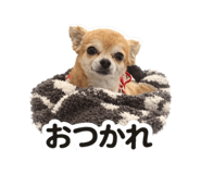 810506489