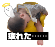 810520585